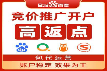 成功运用SEM服务实现品牌推广的案例分析